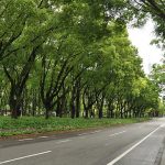 Suasana Odori Park Sapporo di siang hari