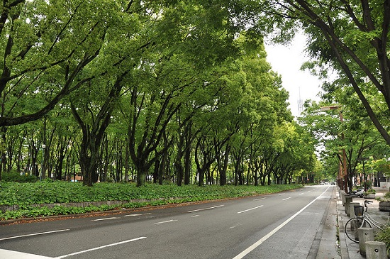 Suasana Odori Park Sapporo di siang hari