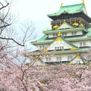 Suasana Osaka Castle Sakura 2020