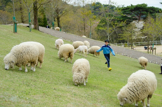 Suasana Perkebunan Gunung Rokko di Kobe