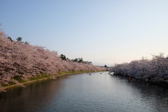 Suasana kanal Kastil Hirosaki saat musim sakura