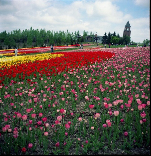 Takino Suzuran Sapporo di Hokkaido