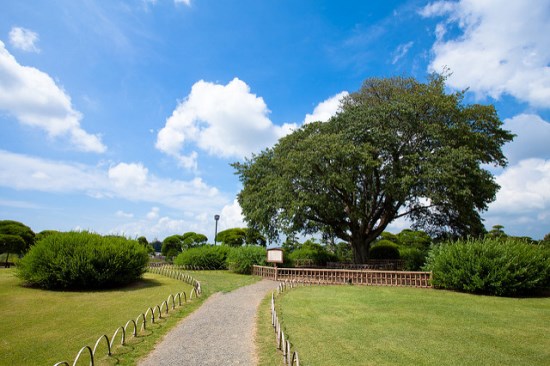 Taman Kairakuen di musim panas