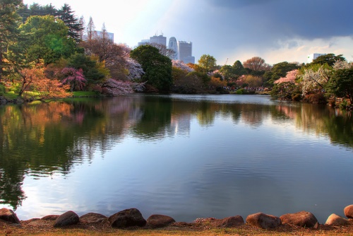 Taman Shinjuku Gyoen