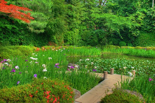 Taman di Kuil Heian Jingu