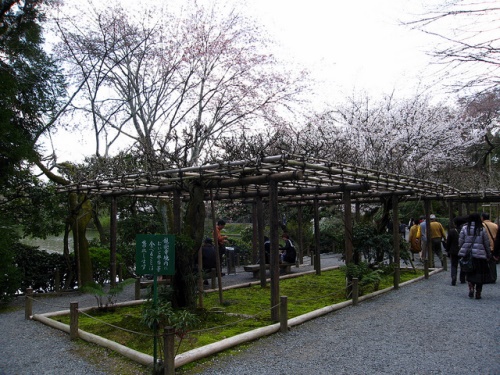 Taman di Kuil Ryoanji Kyoto