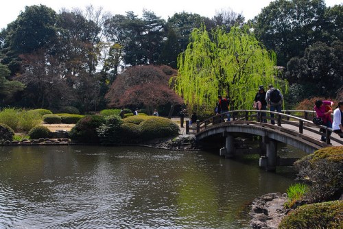 Taman tradisional Jepang di Taman Shinjuku Gyoen