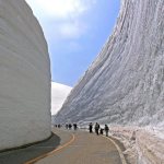 Tembok Salju di Tateyama