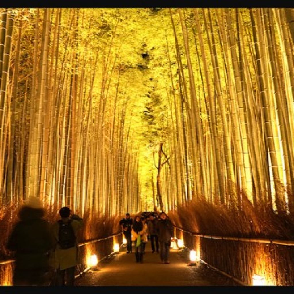 Tempat Wisata Gratis di Kyoto Info Wisata dan Liburan di