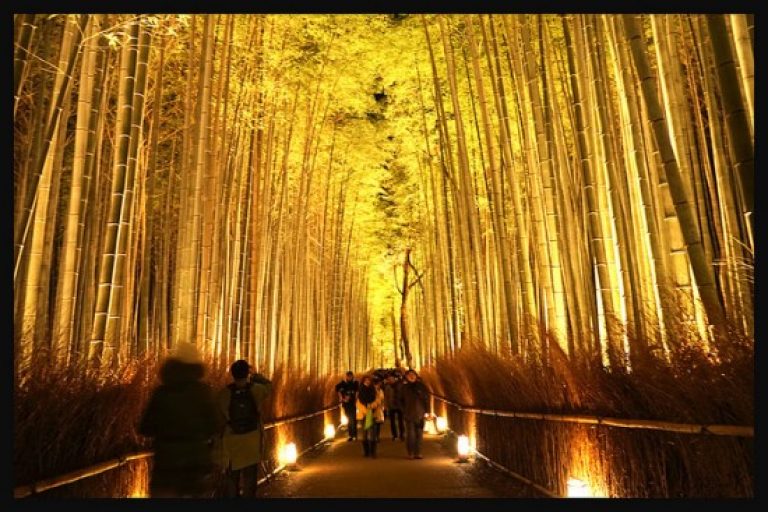 Tempat Wisata Di Kyoto Musim Semi