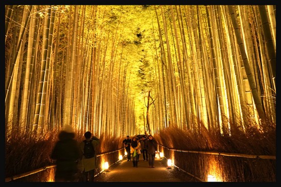 Tempat Wisata Gratis di Kyoto Arashiyama