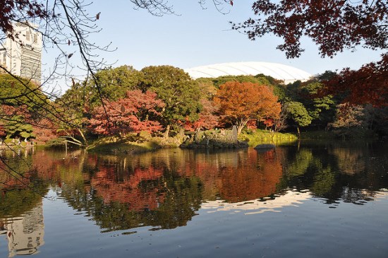 Tempat momiji terbaik di Tokyo Taman Korakuen