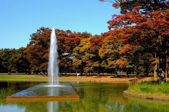 Tempat momiji terbaik di Tokyo Taman Yoyogi