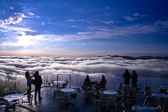 Teras awan saat musim dingin di Tomamu Hokkaido