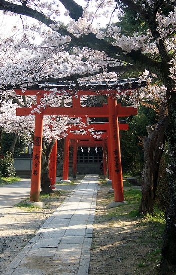 Torii Kuil Yoshida Kyoto yang terkenal