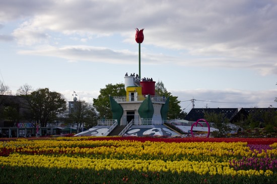 Tulip tower saat Festival Bunga Tulip Tonami