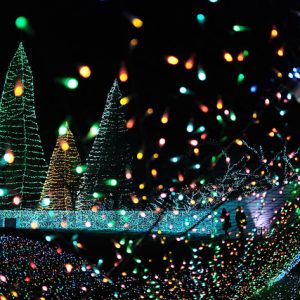 Yomiuri Land Jewellumination