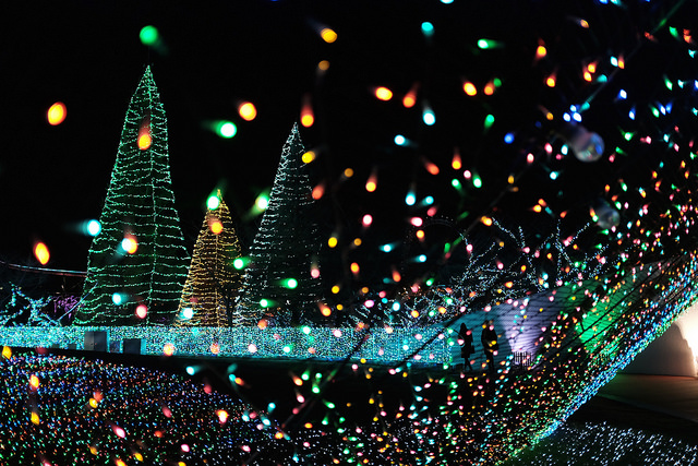 Yomiuri Land Jewellumination