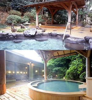 Yumoto Fujiya Hotel onsen