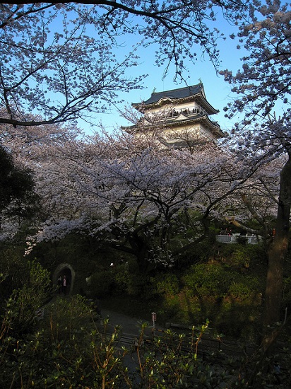 Panorama musim semi di Kastil Odawara