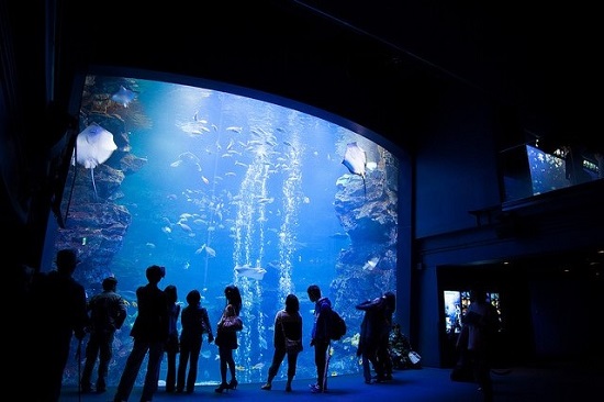 kyoto aquarium