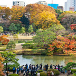 rikugien garden at fall