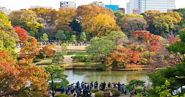 rikugien garden at fall